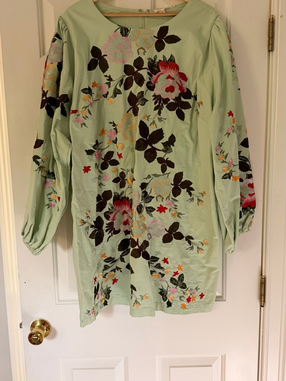 Anthropologie Mint Green Floral Embroidered Mini Dress